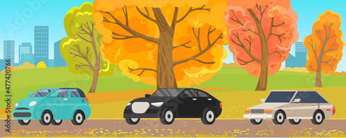 Set of modes of transport and machine shapes. Cars of different types with tinted glass in background of landscape of nature or city. Crossover, hatchback, pickup vehicle is riding in autumn park