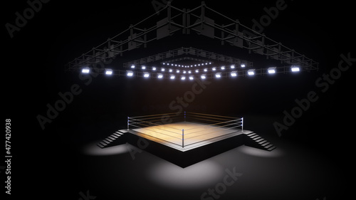 Photography Sports wrestling and boxing