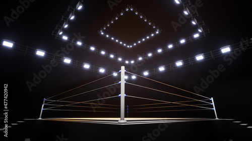 Bild auf Leinwand Sports wrestling and boxing