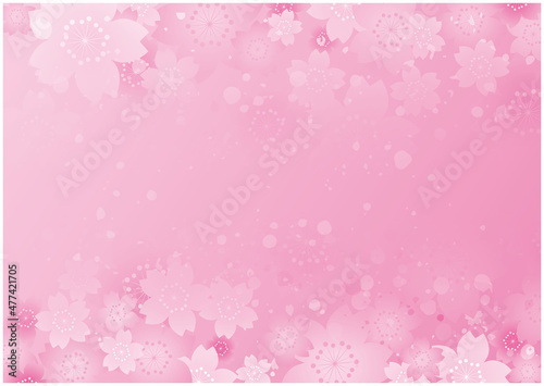 春　桜　花びら　背景