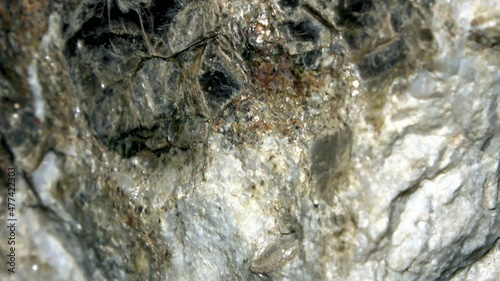 Closeup of a muscovite gneiss with large solitary muscovite crystals une quartz bands in a light gray matrix photo