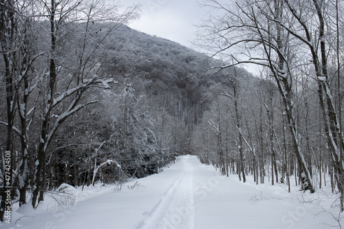 Bieszczady zima w górach