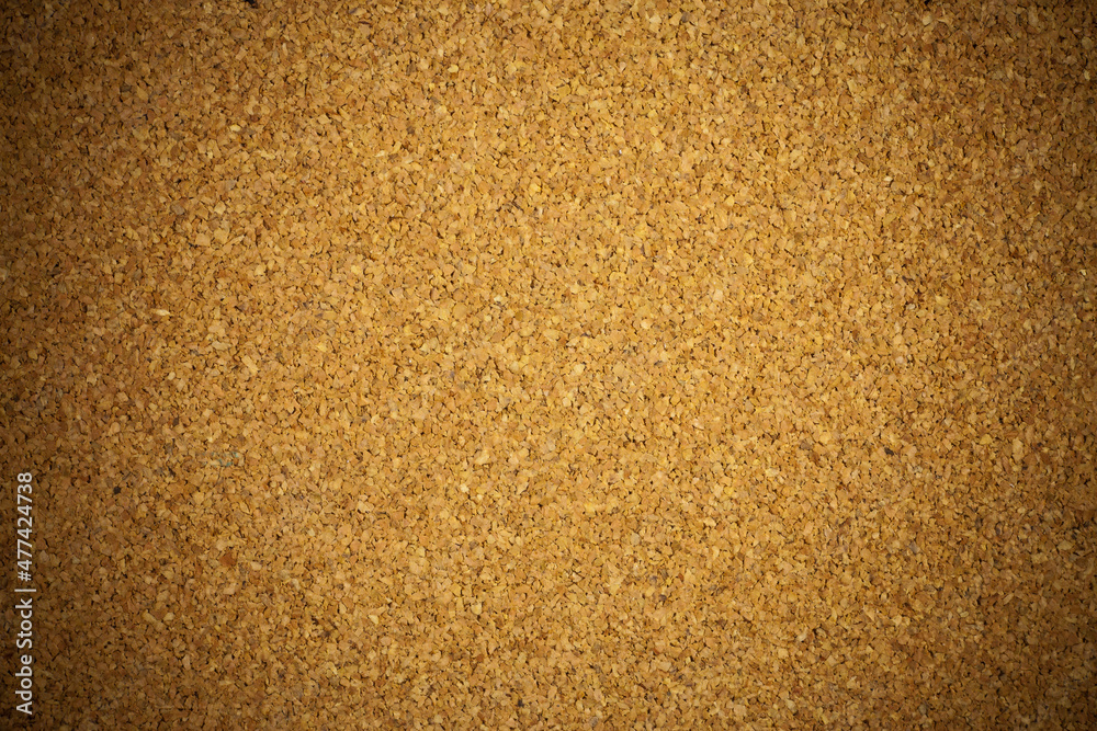 Background cork board.