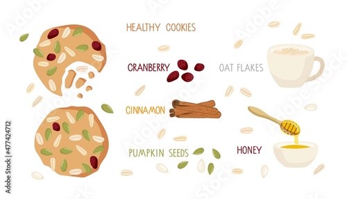 Healthy oat coookies full of pumpkin seeds, grains and dried cranberry. Ingredients for recipe of Homemade oatmeal cookies. Vector flat isolated for menu, cafe, restaurant. Healthy snack or Breakfast