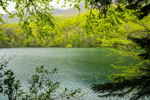 Fotografie, Obraz Montenegro, Green window out of primeval forest to biogradsko lake a beautiful g