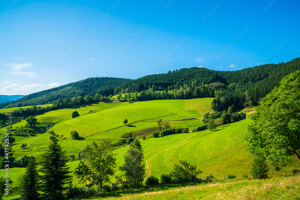 Germany, black forest panorama view nature landscape tourism region at the edge of the forest in summer perfect for hiking and sports