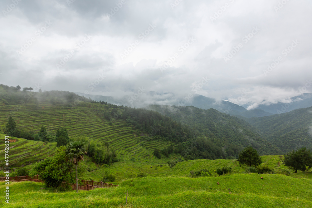 Obraz premium Misty Blue Mountains, terraced fields