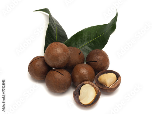 Macadamia nuts with green leaves on white background