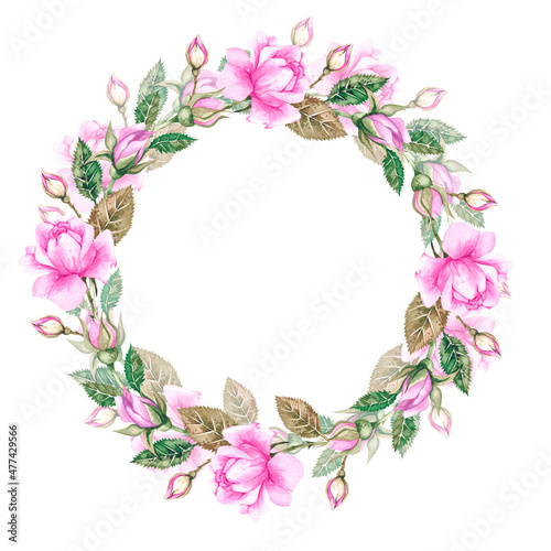 Watercolor frame with roses, buds