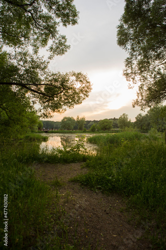 Beautiful nature with pond lake, green trees foliage, grass and clouds in the background. Afternoon panorama landscape at Pokrovskoe Streshnevo urban forest park, Moscow, Russia