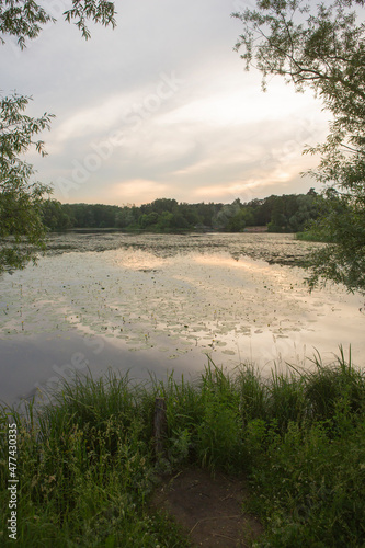 Beautiful nature with pond lake, green trees foliage, grass and  clouds in the background. Afternoon panorama landscape at Pokrovskoe Streshnevo urban forest park, Moscow, Russia photo