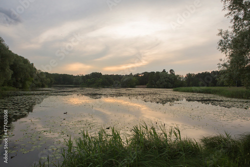 Beautiful nature with pond lake, green trees foliage, grass and clouds in the background. Afternoon panorama landscape at Pokrovskoe Streshnevo urban forest park, Moscow, Russia