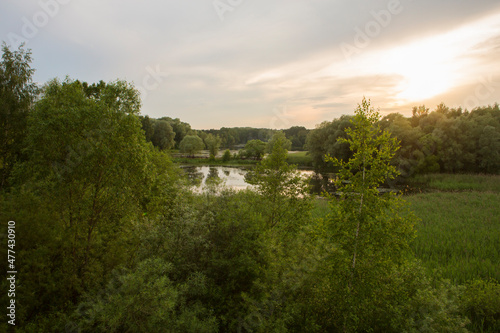 Beautiful nature with pond lake, green trees foliage, grass and  clouds in the background. Afternoon panorama landscape at Pokrovskoe Streshnevo urban forest park, Moscow, Russia © Liza