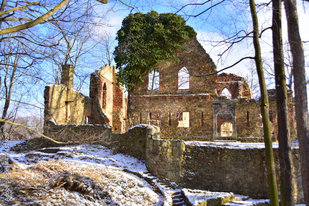 Ruiny, Zamek, Stary Ksiaz w Walbrzychu,