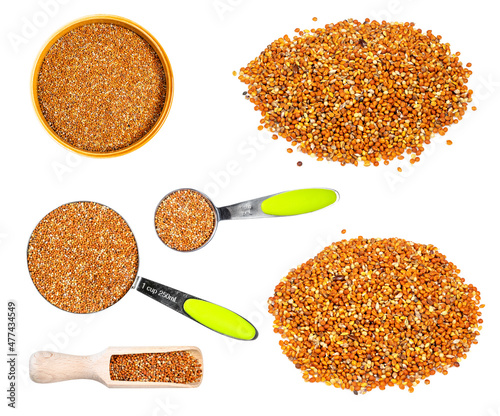 set of chumiza siberian millet seeds cutout photo