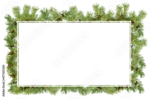 A frame of pine branches with small cones on a white background.
