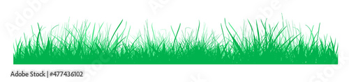 Silhouette of green grass. Vector illustration