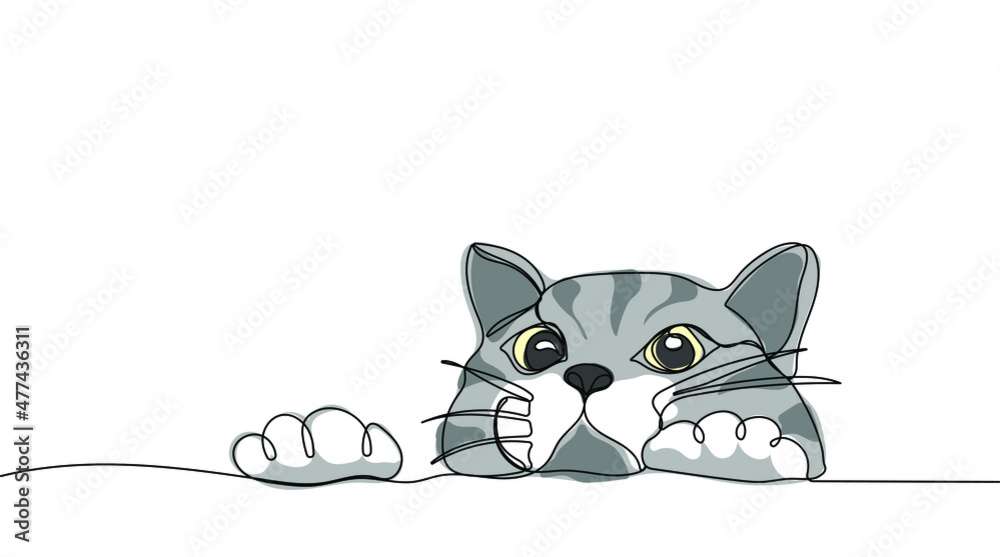 Fototapeta premium Continuous one line drawing of cute peeking cat. Funny domestic pets. Vector illustration