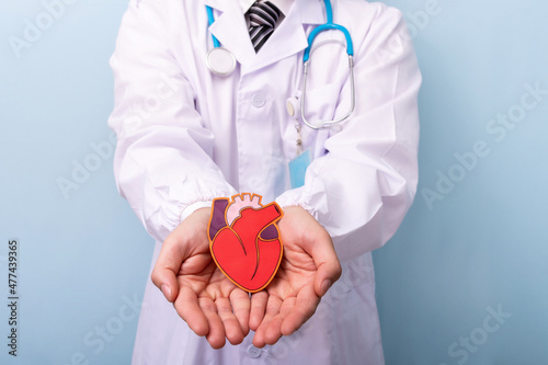 Doctor hands holding paper red heart. Insurance, charity donation concept.