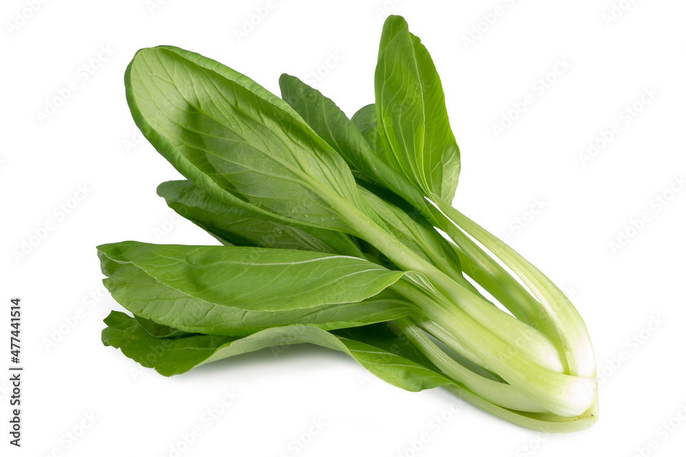 Fresh Bok choy vegetable isolated on white background.
Clipping path Fresh Bok choy vegetable isolated on white background.
Clipping path