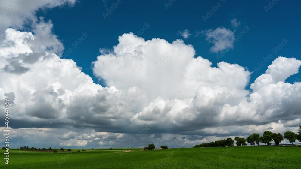 Cumulonimbus Cloud Moving and greenfield Timelapse Cumulonimbus Cloud Moving and greenfield Timelapse