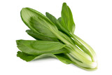 Fresh Bok choy vegetable isolated on white background.
Clipping path