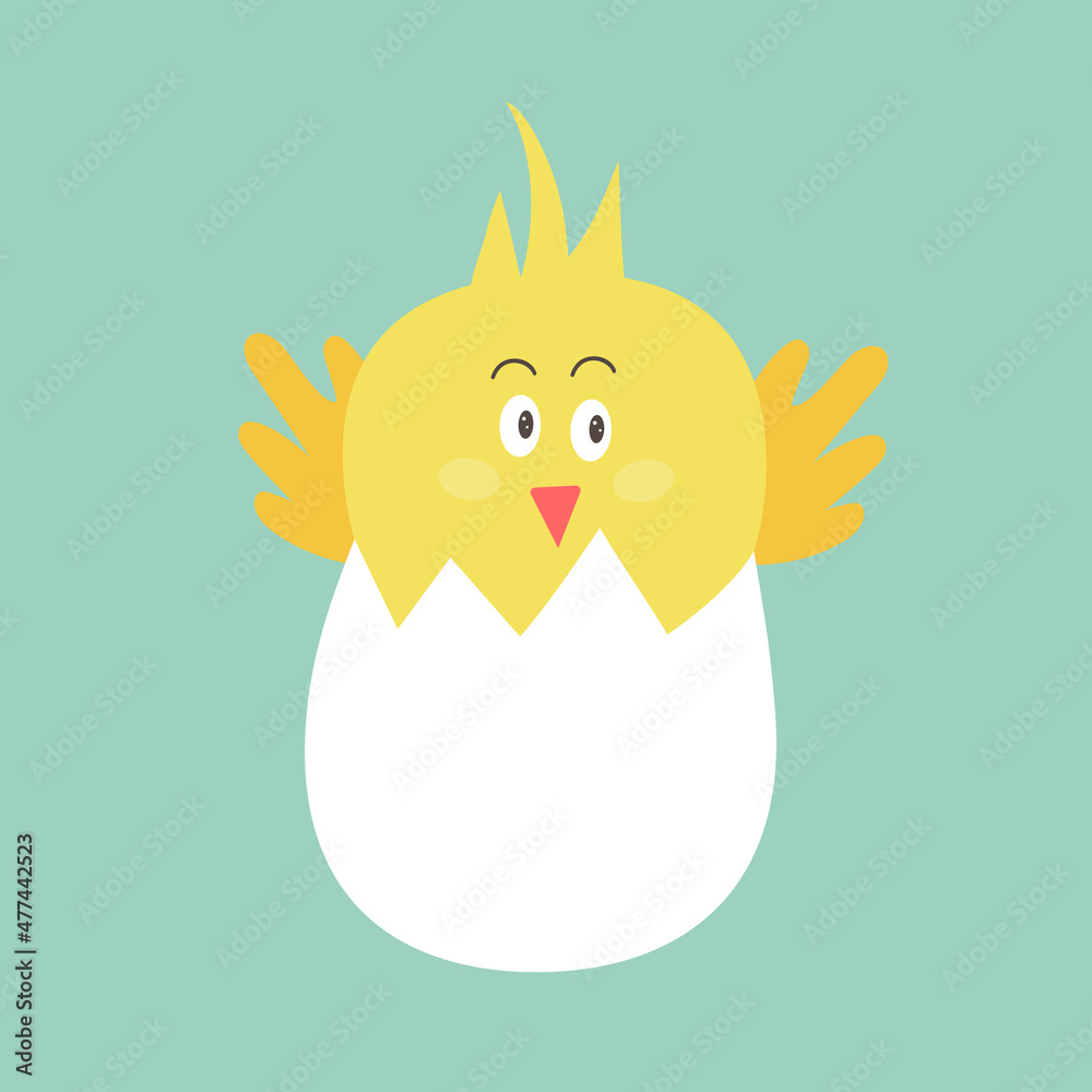 Сute newborn yellow Easter chicken in the shell. Easter chicks concept. Funny domestic animal.