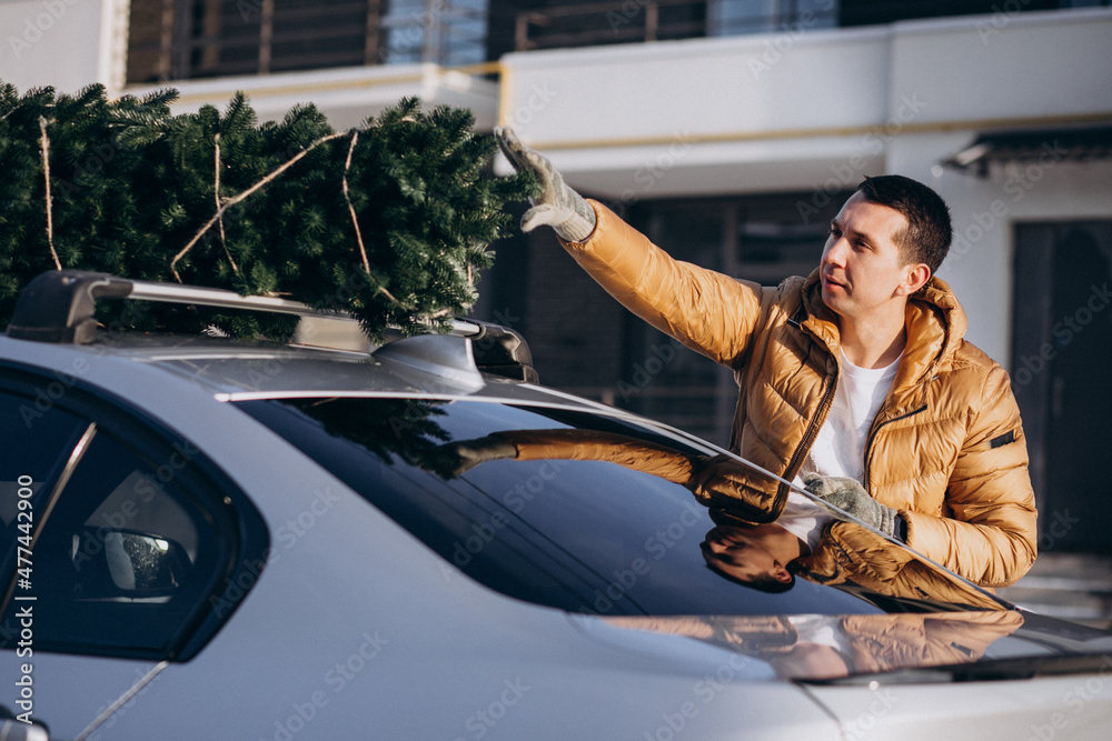 Handsome man loading christmas tree on car