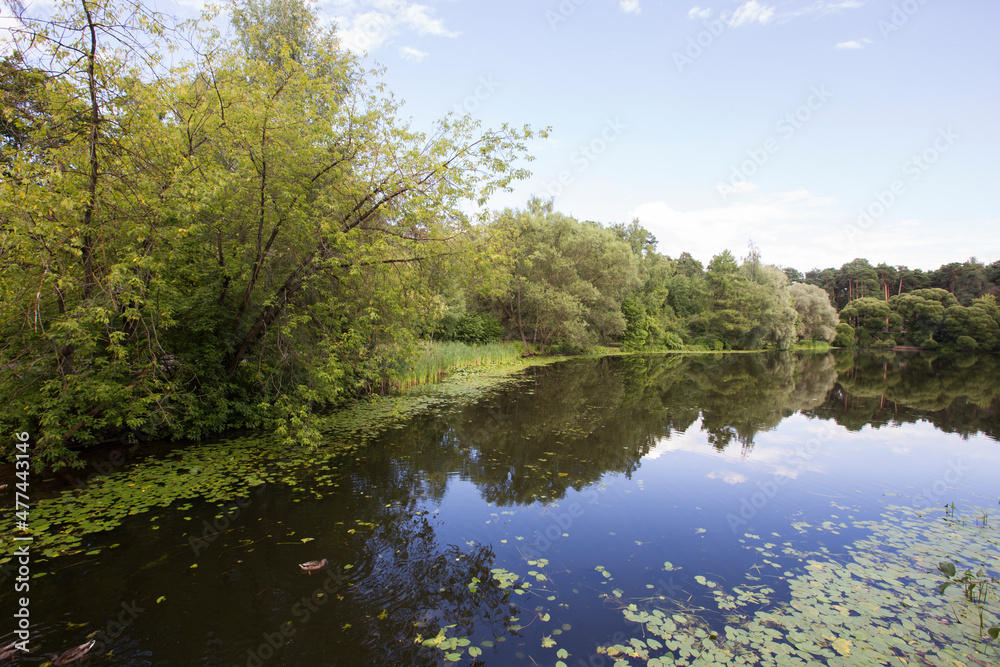 Obraz premium foliage, leaves, wallpaper, reflection, reflected, lake, crack, pond, surface, water, surrounded, area, background, beautiful, bor, city, day, environment, forest, grass, green, khoroshevskoye, landma