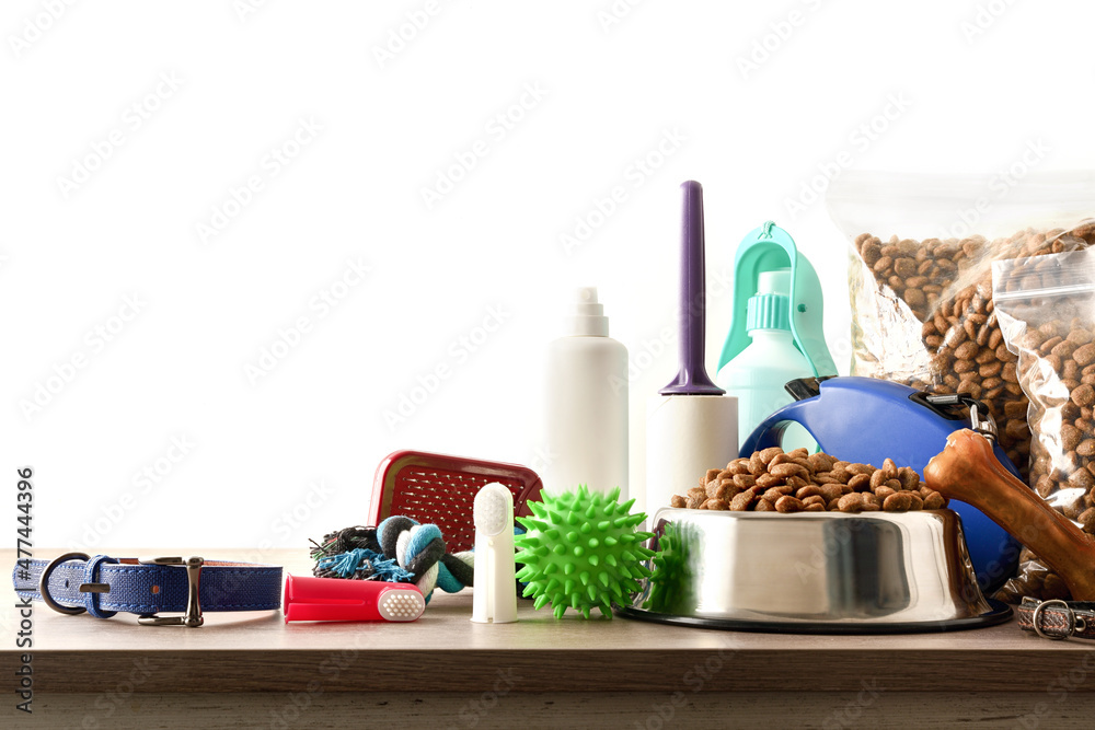 Food and accessories for the dog on wooden table isolated