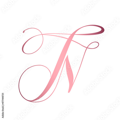 NT, TN monogram logo.Calligraphic signature icon.Letter t and letter n.Lettering sign isolated on light fund.Wedding, fashion, beauty alphabet initials.Elegant, luxury handwritten style.