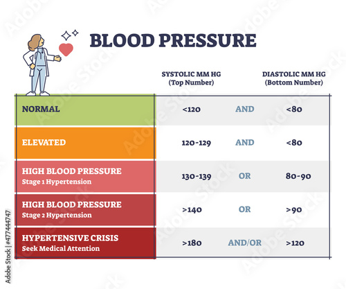 Blood pressure with systolic and diastolic number chart outline diagram. Labeled educational scheme with heart beats MM HG numbers or patient diagnosis after cardiology measurement vector illustration photo