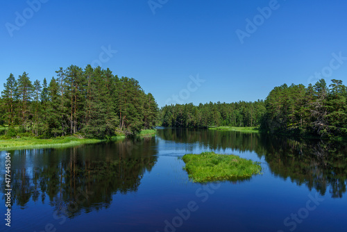 Fototapeta Naklejka Na Ścianę i Meble -  Blue river flowing through a lush green landscape