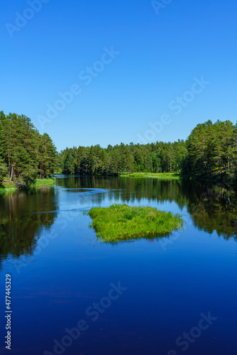 Beautiful blue river flowing through a lush green landscape