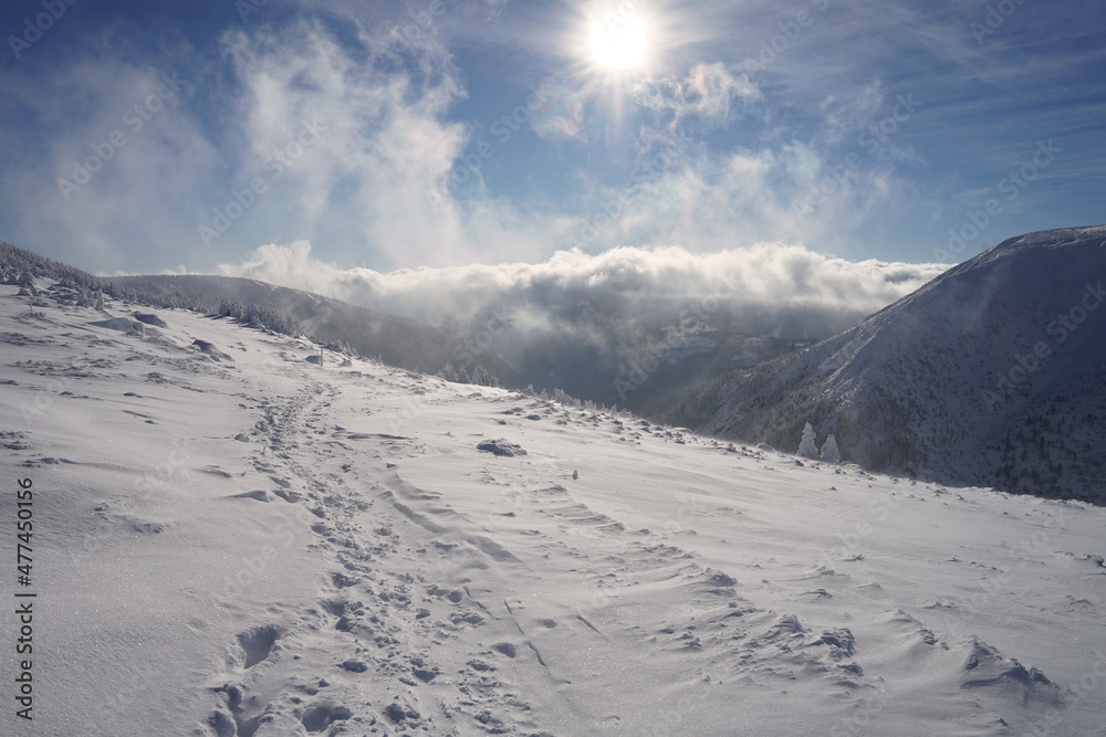 Dangerous avalanche slope near Obri Dul, popular hiking and ski mountaineering trail, Krkonose Giant Mountains, Czech Republic