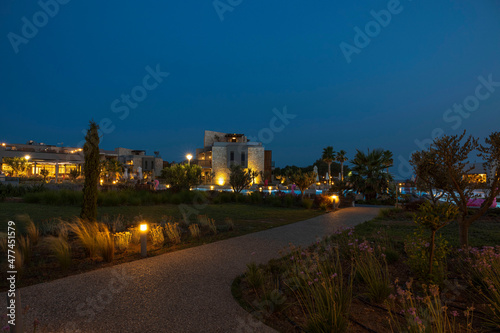 Beautiful night landscape view of hotel area. Lighting, trees and modern buildings on dark blue sky background. 