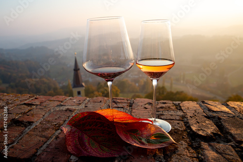 Fototapeta kuchenna Wein