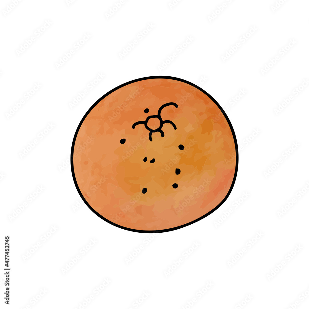 Fototapeta premium orange fruite isolated vector illustration