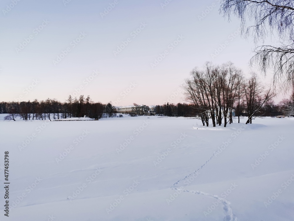Catherine Park in Pushkin on a winter day Catherine Park in Pushkin on a winter day