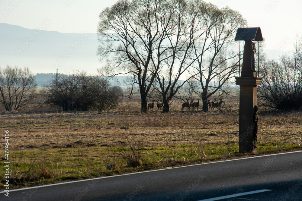 Obraz premium podróż