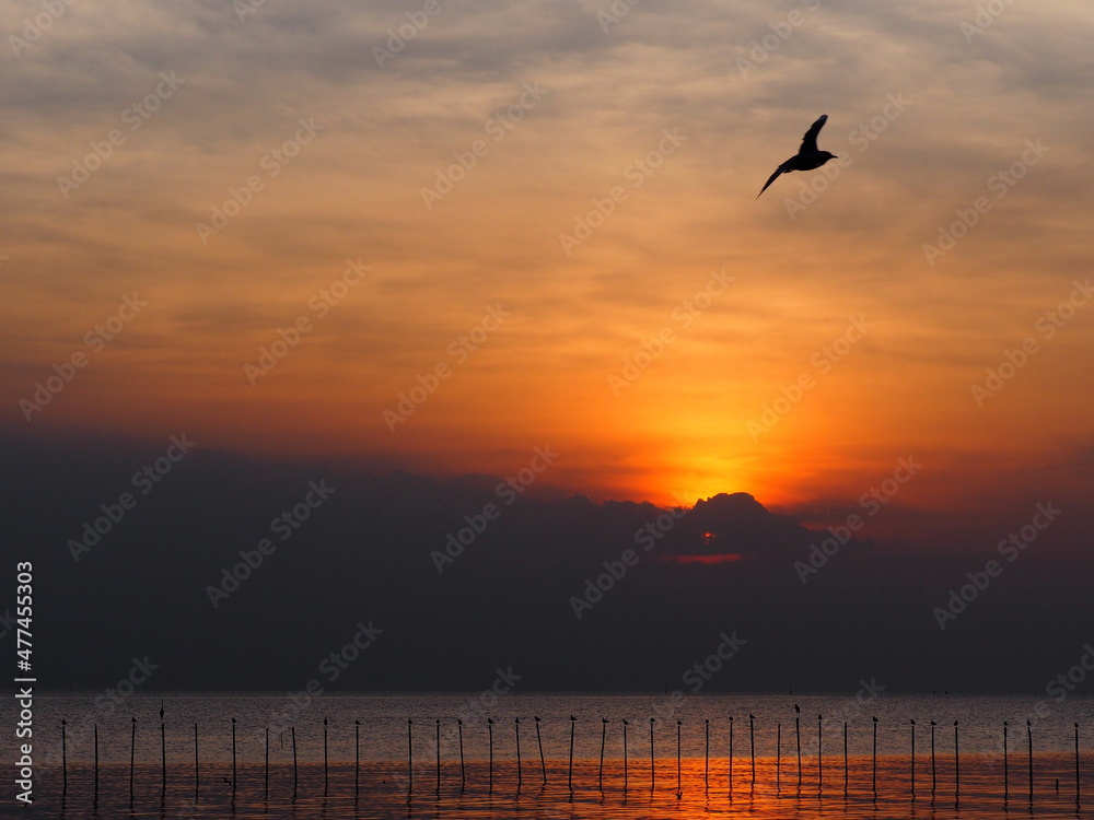 The silhouette of the orange sky at dusk as the sun sets, seagulls flying in the sky and many birds perched on bamboo poles in the sea. Bangpoo Recreation Ground, Thailand
