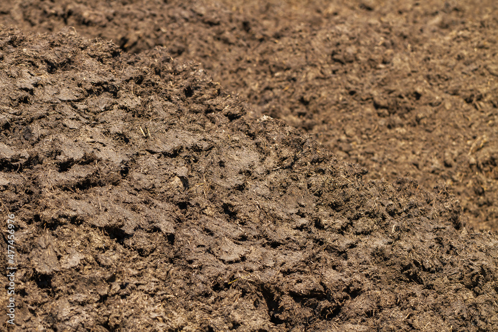 Manure in the countryside. Manure in the countryside.