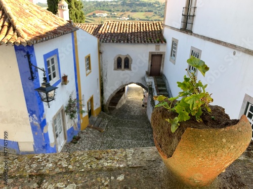 Colorful houses in Obidos town, Portugal
