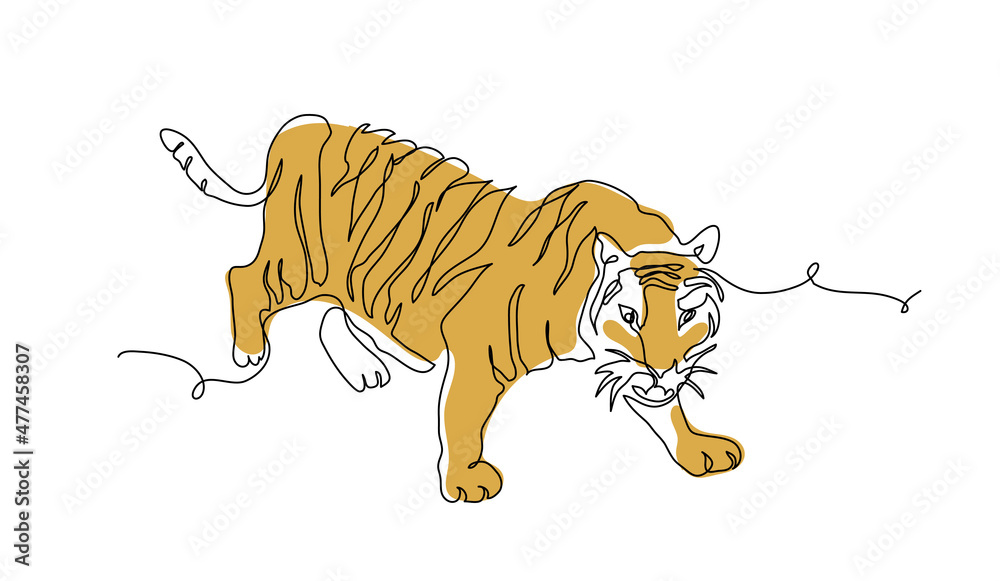 Bengal Tiger Line Vector & Photo (Free Trial)