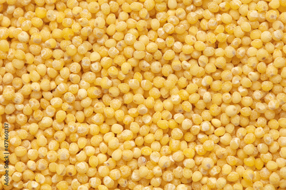 Close-up of millet groats as background. Close-up of millet groats as background.