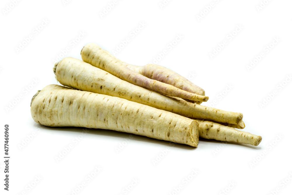 Parsley root isolated on white background Parsley root isolated on white background