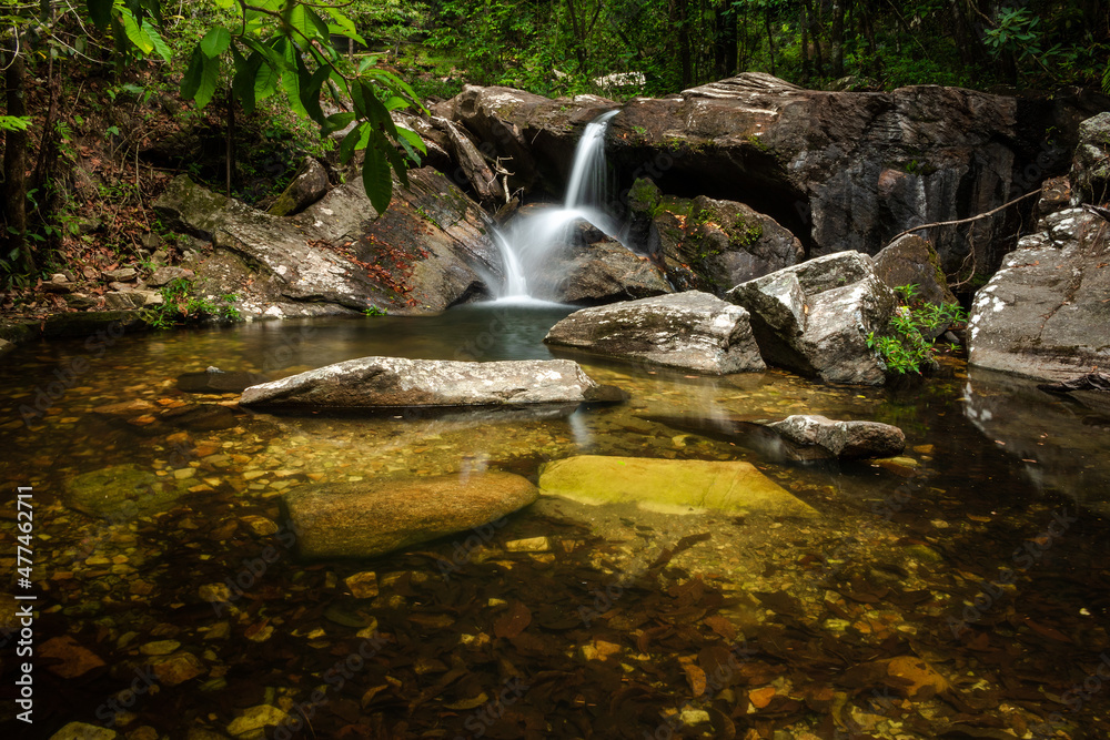 Fototapeta premium wild life photography