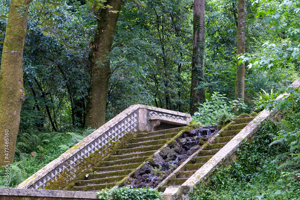 Ancient walled forest with fountains and religious markers established by the Carmelites in the 1600s.Ancient Bussaco Forest. Lusso Portugal. UNESCO designated. 