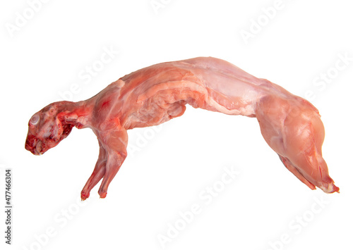 Whole raw rabbit isolated on a white background. Top view, flat lay, close up. High quality photo