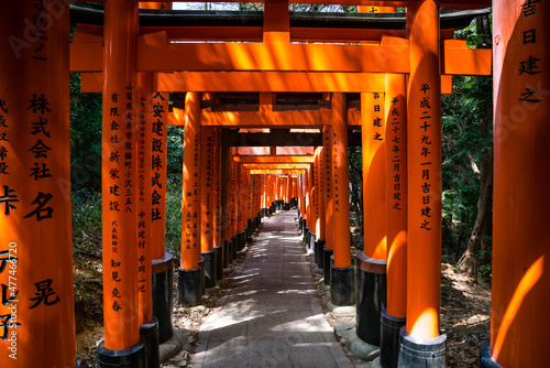 Fushimi Inari path wide photo